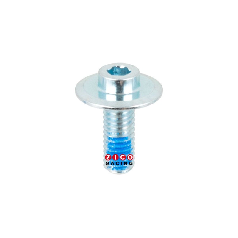 Śruby marki FR Skates do mocowania szyn w rolkach - długość całej śruby 20,5mm; długość gwintu 16mm.